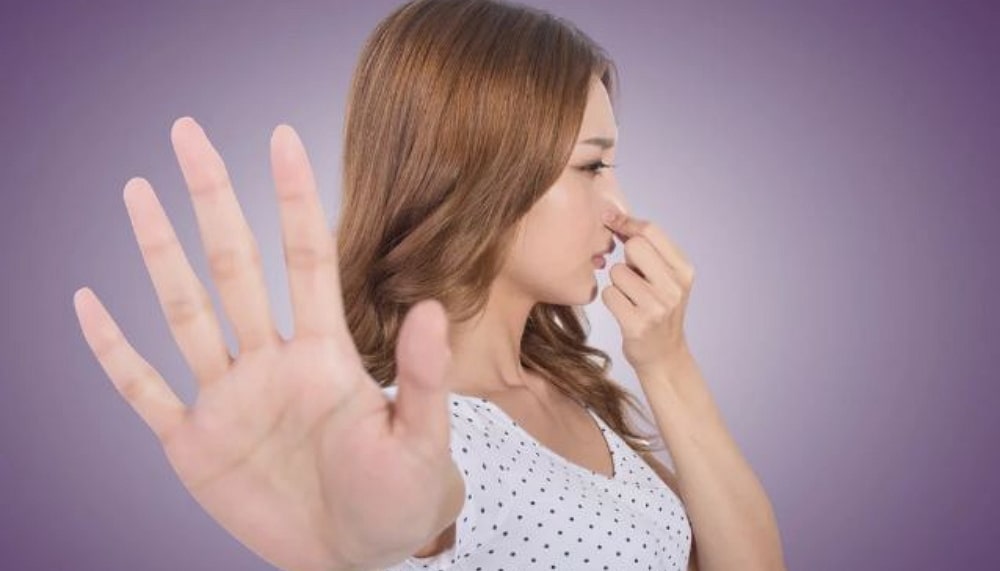 Comment supprimer les odeurs de moisi ?